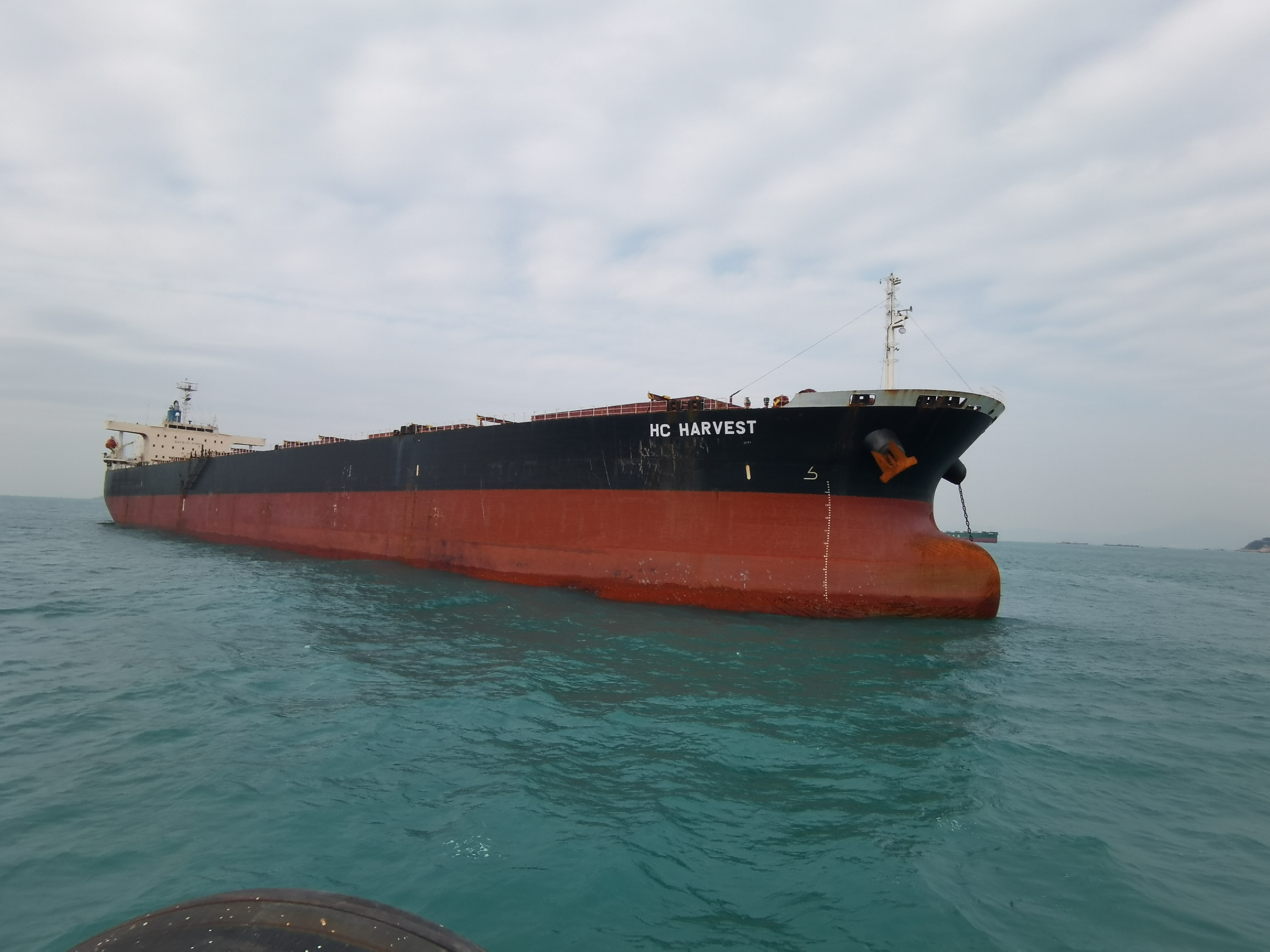 亿万先生MR丰收